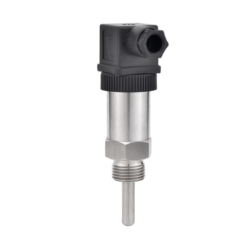 PT100 Temperature Sensor-T300